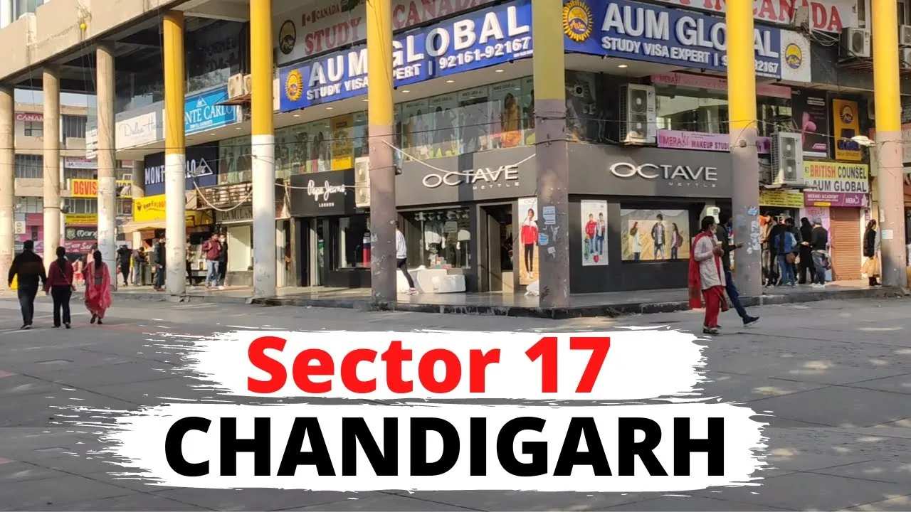 Sector 17 Escorts